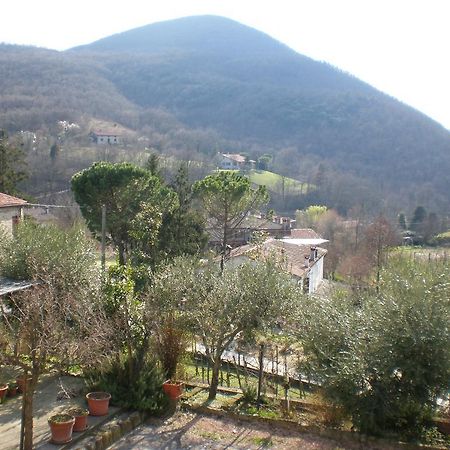 Locanda-Trattoria Al Rio Cinto Euganeo Экстерьер фото