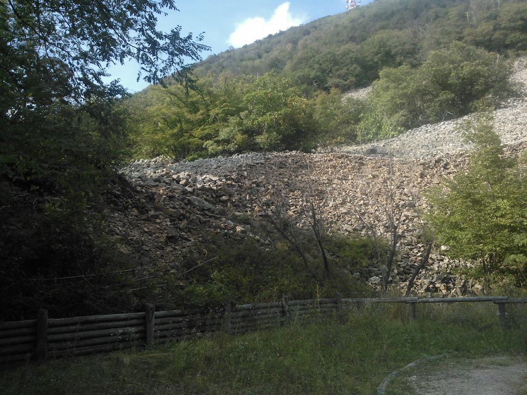 Locanda-Trattoria Al Rio Cinto Euganeo Экстерьер фото